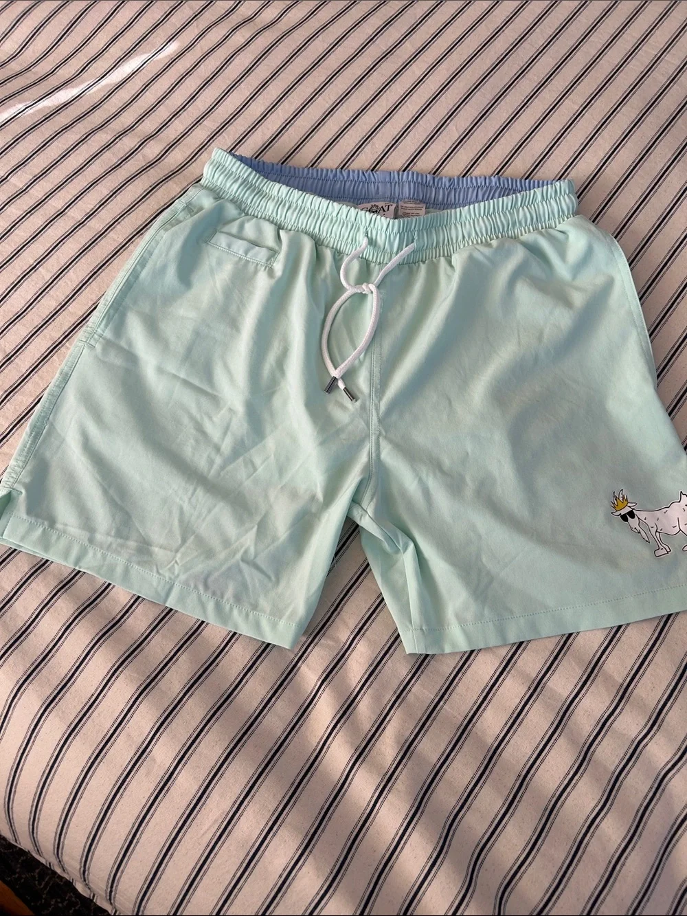 GOAT USA S Men's Mint Green Swim Trunks GUC